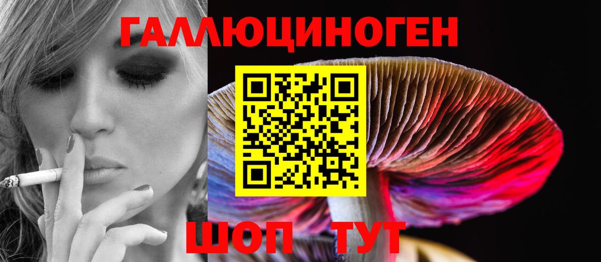 Галлюциногенные грибы GOLDEN TEACHER  Галлюциногенные грибы ЛСД  Свободный  где купить наркоту  Вход с VPN 